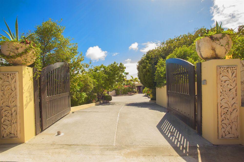 Anguilla'S Bird Of Paradise The Valley Extérieur photo
