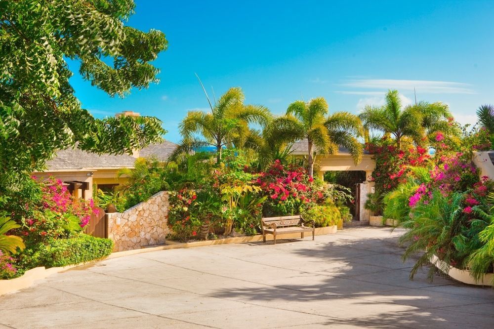 Anguilla'S Bird Of Paradise The Valley Extérieur photo